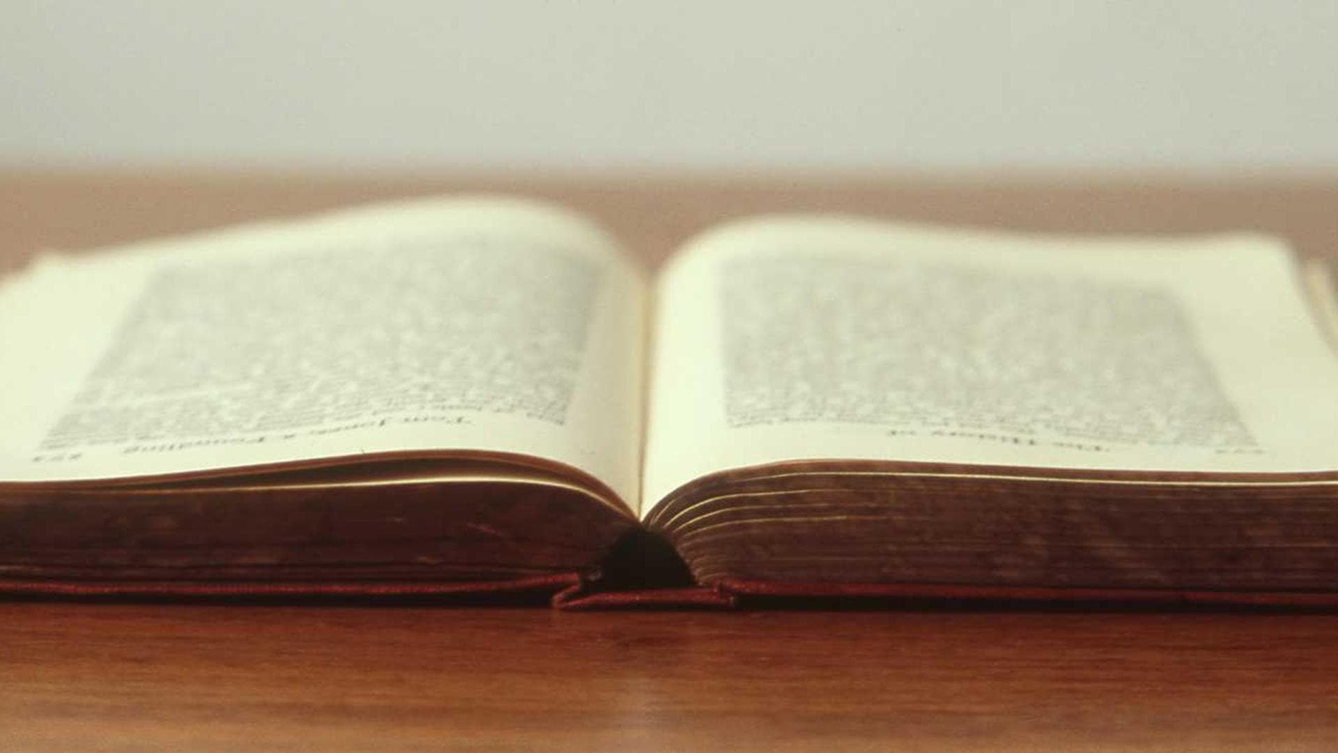 article header